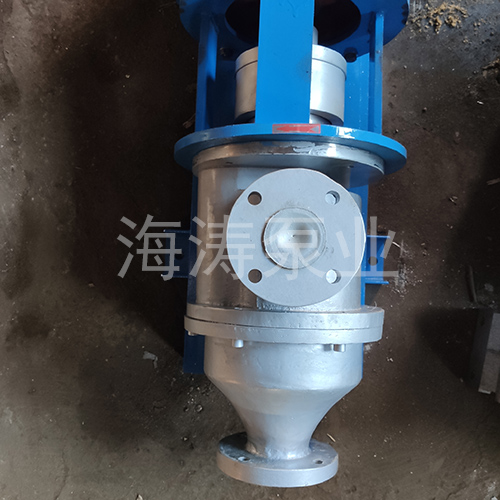 HVP15/0.6高真空出料泵細節(jié)剖析圖