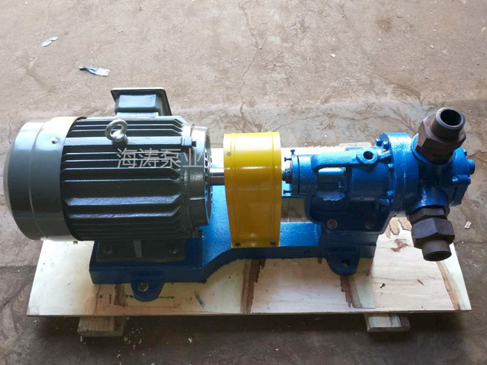 NYP高粘度轉(zhuǎn)子泵